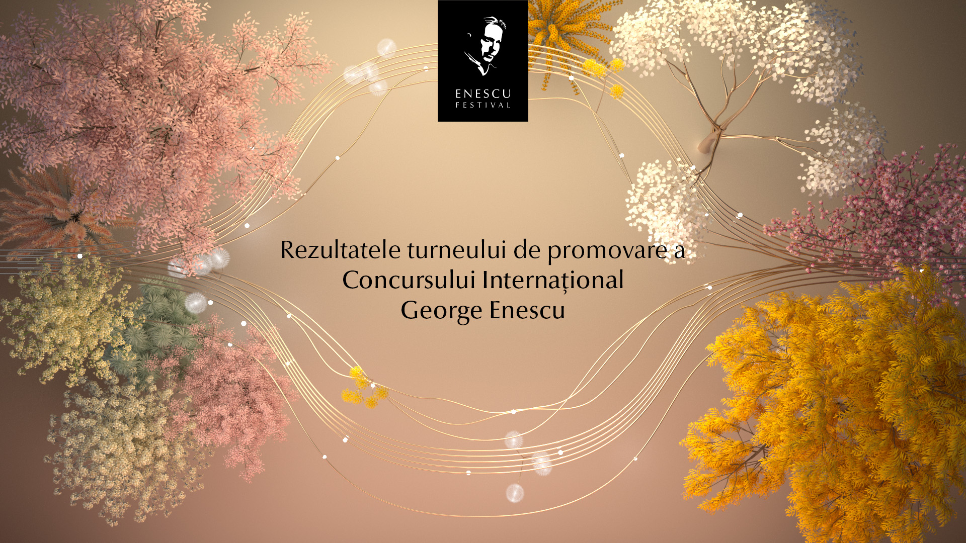 Rezultatele turneului de promovare a Concursului Internațional George Enescu
